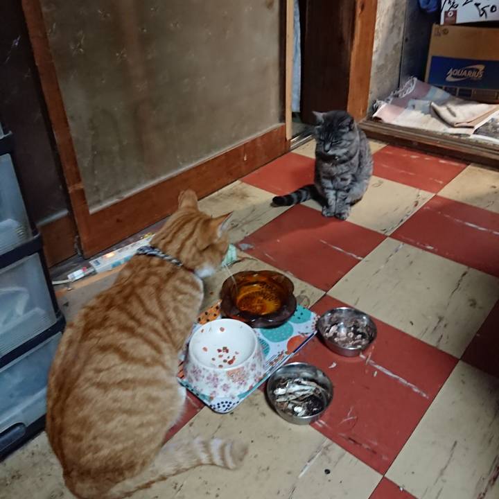 Ade1e06d c8ed 4f00 b3a0 7a3e5992185d 1573635502774