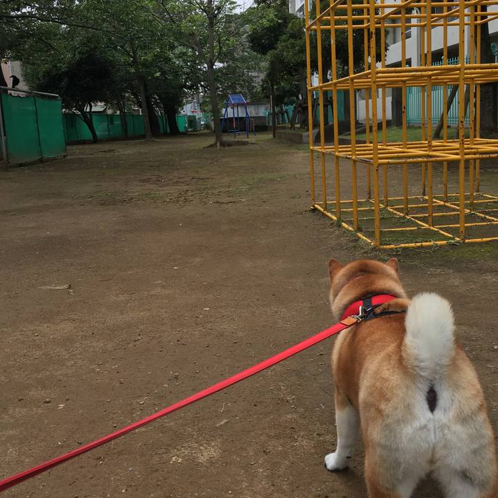 Ade1ed20 9ef4 460b af95 f42d81e787dd 1595312068914