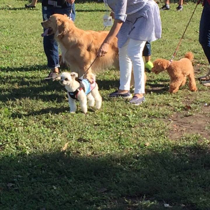 Ade2087f be3e 4b5f aea7 4b3249aa21fa 1538815681421