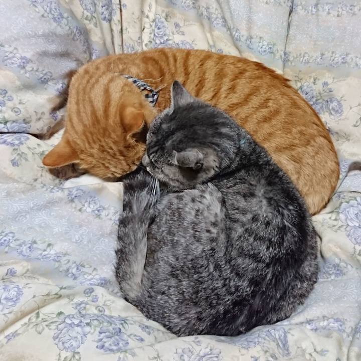 Ade245a7 1f45 4d95 a5e7 9b50b1bdef32 1575205559977