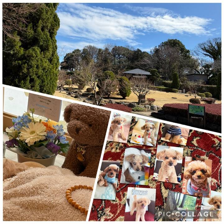 Ade28d1c 5485 42ff aa5a 4c4a60fc1ea1 1772669090552