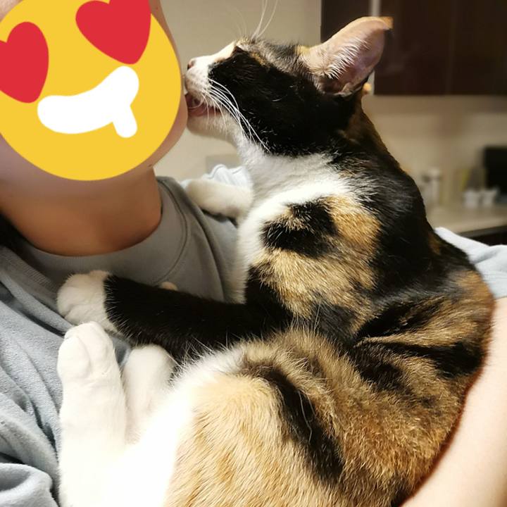 Ade2a19d 2d3a 444f a986 d02dfa6f1ee5 1654486163103