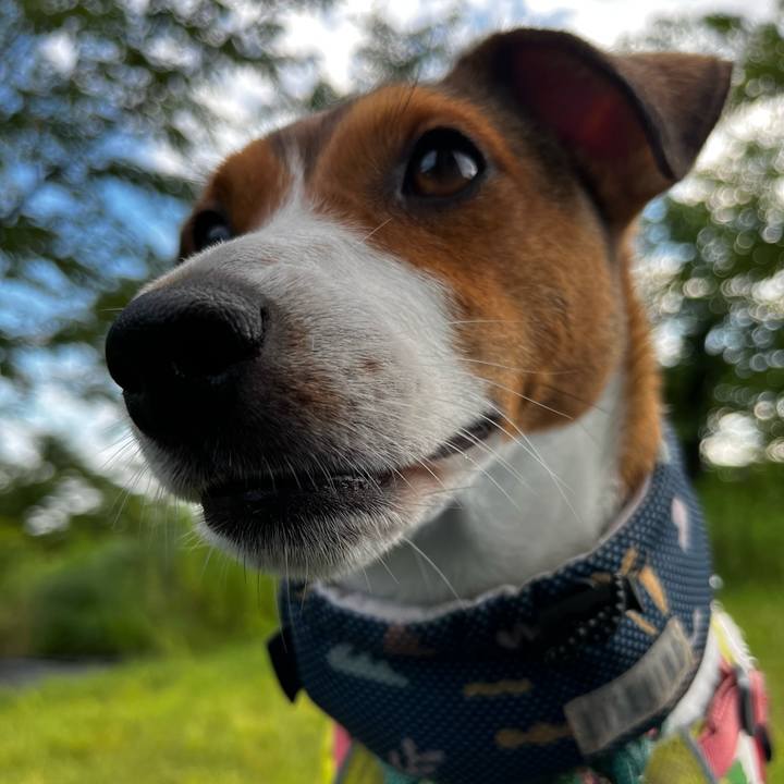 Ade2e4a5 a69d 4b9a 8e7f 4f89f7bfec1a 1755693343837