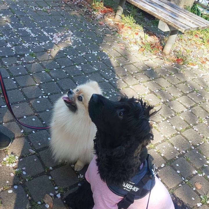 Ade3088b 8e34 404b ac65 e75580cf19be 1712754500588