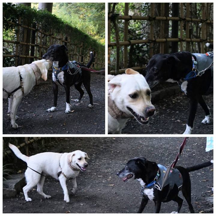 Ade30d9a f9ce 4fd3 a326 4f7e6777b8c9 1757461688591