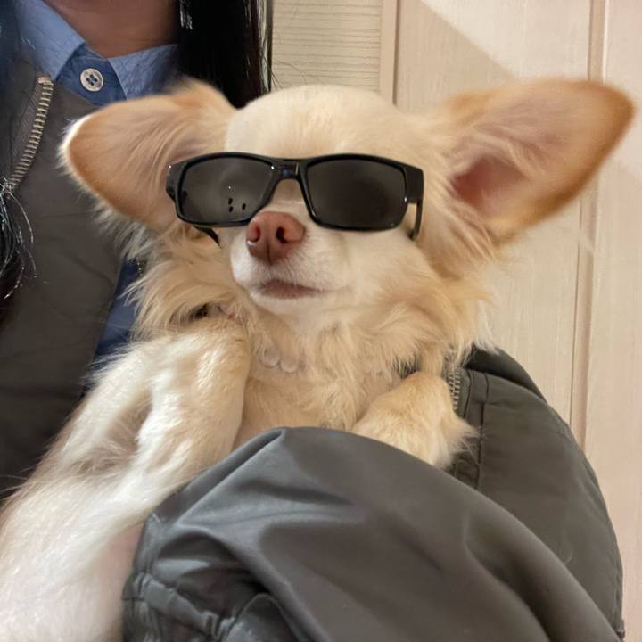 Ade30dde 3cff 4d7a a589 c8c095b17c06 1709543299394