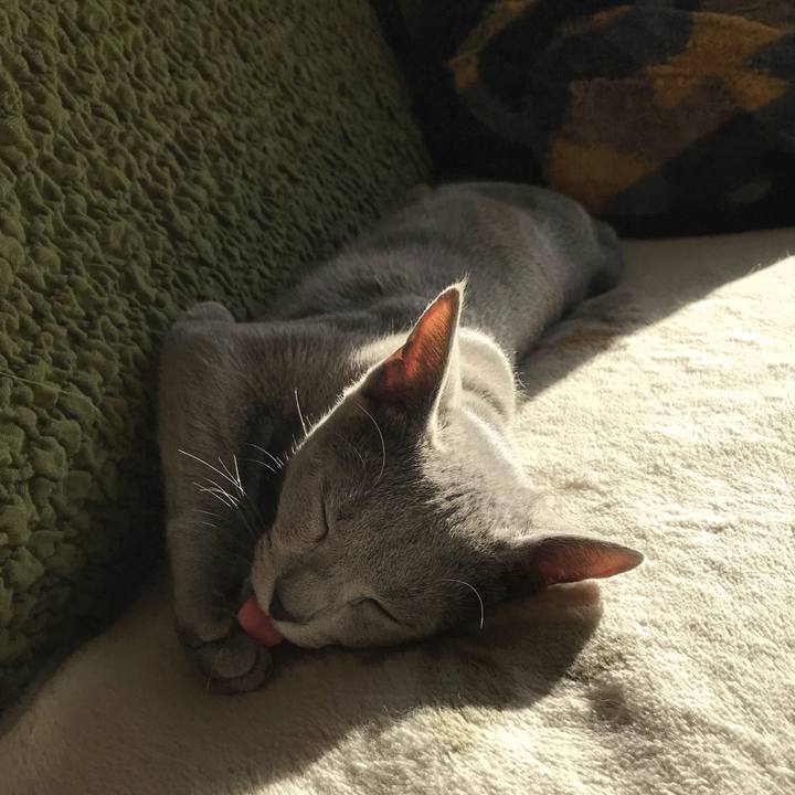 Ade30e61 52f6 4942 8c7b c6a508589856 1514510906348