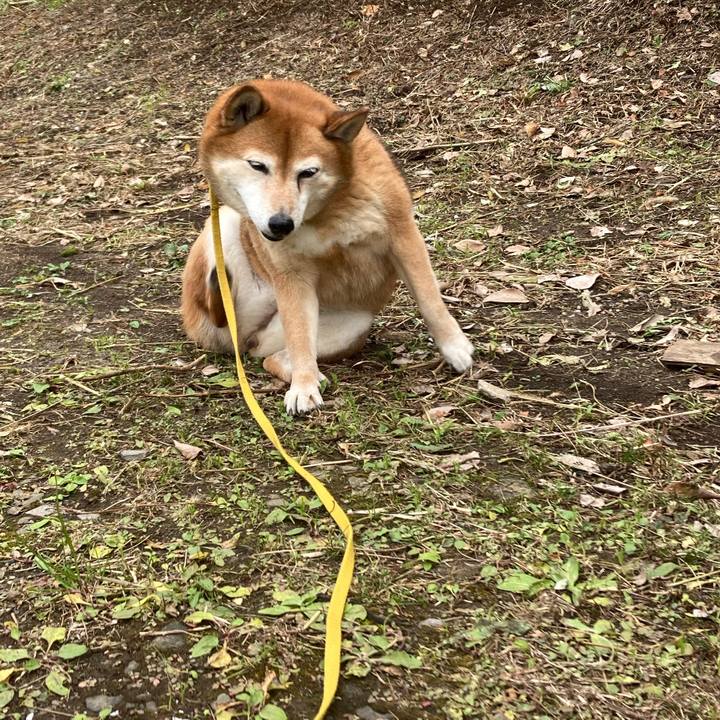 Ade32b7d 8f35 4612 ad56 34a705784032 1638860455536