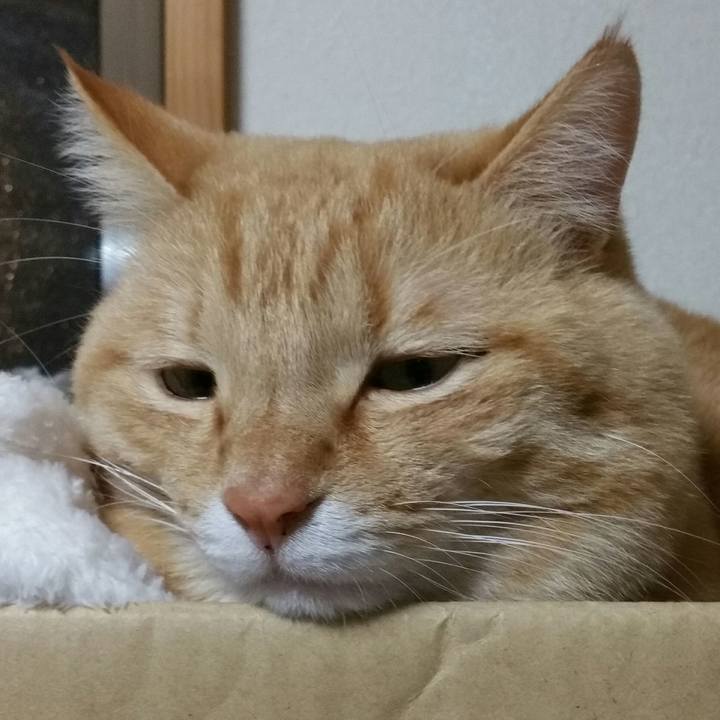 Ade396ff bf16 4b2a a314 a6f6e5e30706 1518518641223