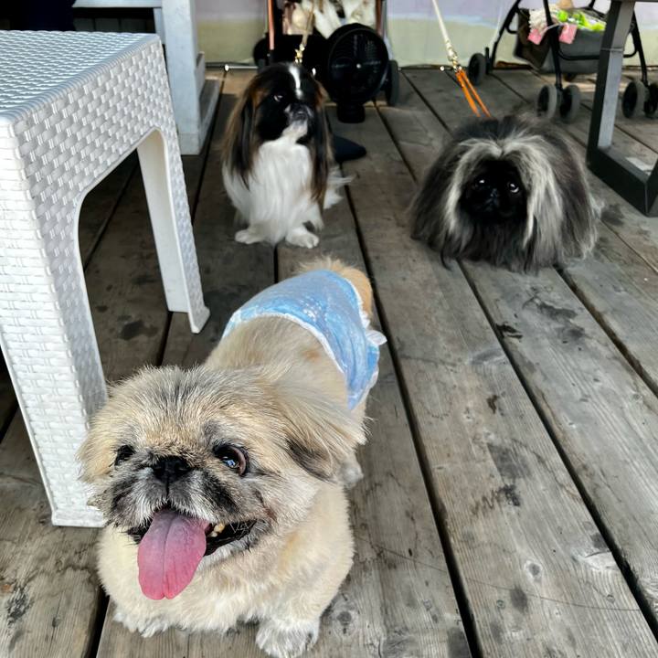 Ade3adf5 69f9 4787 ab97 61640f1723f1 1771128279508