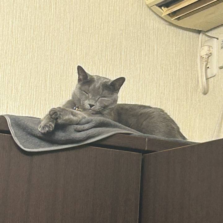 Ade3d312 2a86 4616 aa55 a39cc852c153 1708394426251