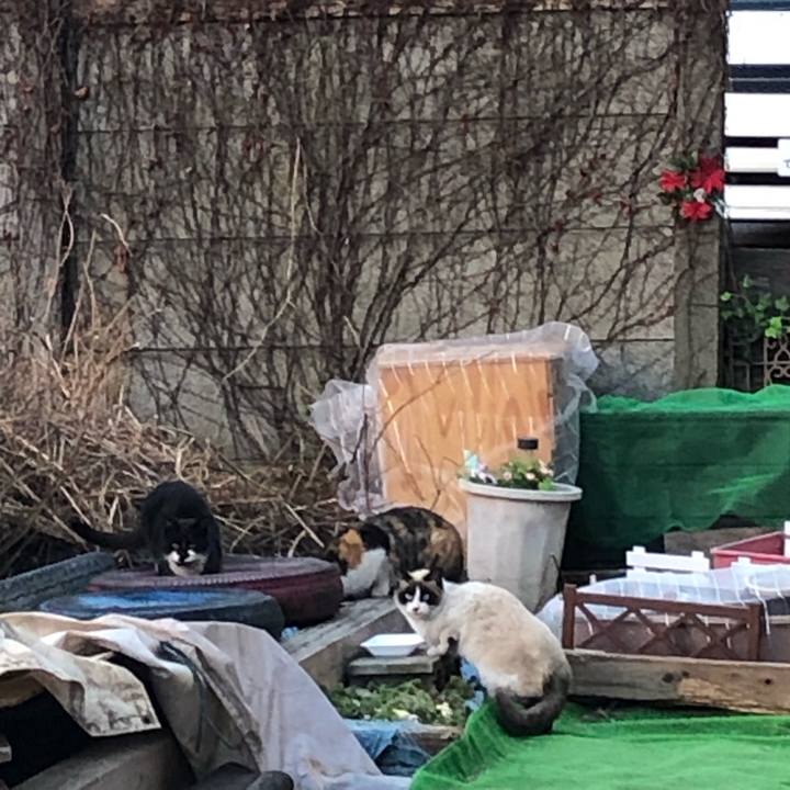 Ade3ed2b 827c 40b0 89d6 45c478f62a4d 1547047532447