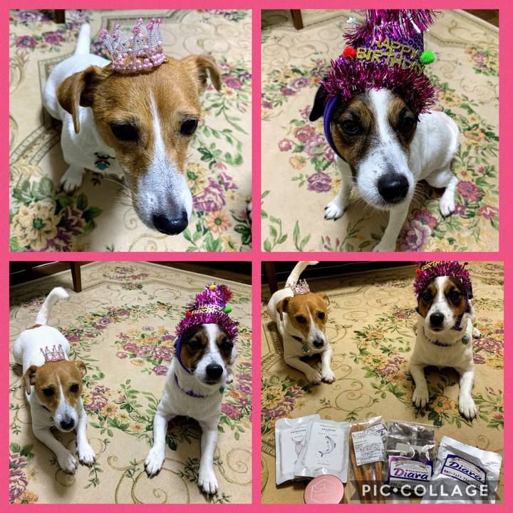 Ade3f4bc ef56 4ef6 8b29 627cfe2736e4 1575371621177