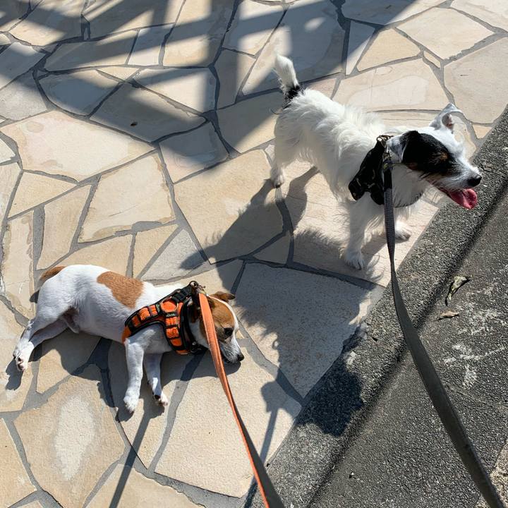 Ade3f52a d7e4 40fb b255 97b643c71ece 1599263852481