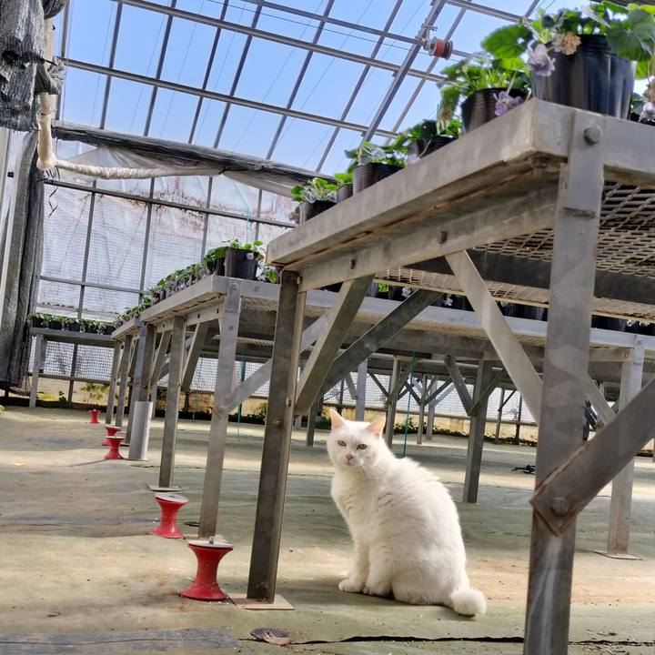 Ade3f6c2 a98d 434d b551 747bcc750509 1764820206085