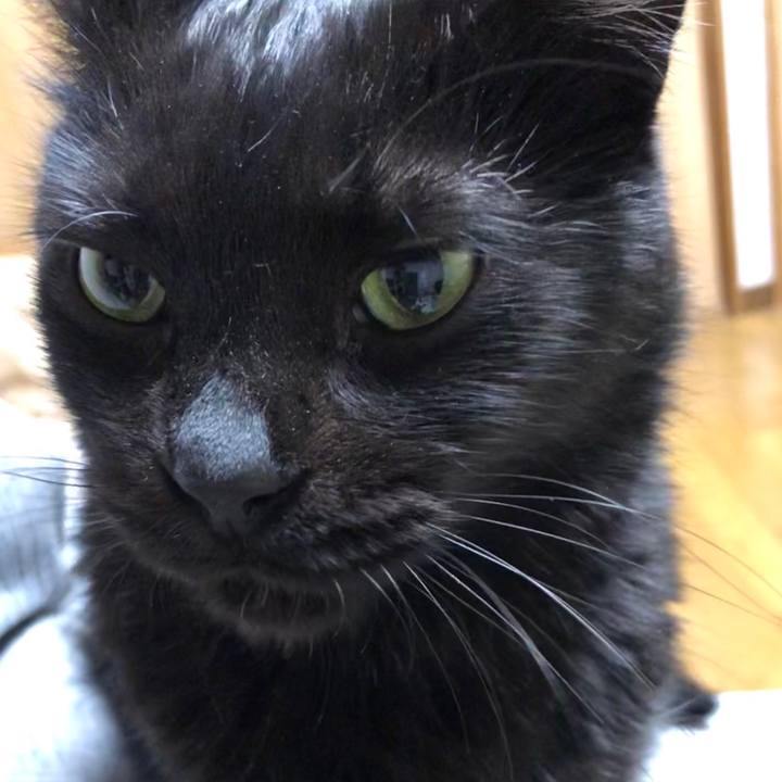 Ade40efe 880b 4f4b 8a1f 1e318afb2863 1587654429062