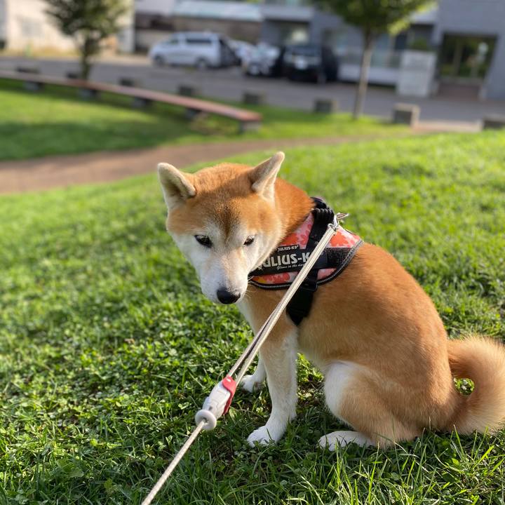 Ade4119d fadf 45b6 922d 89f7e0f81689 1600993569809