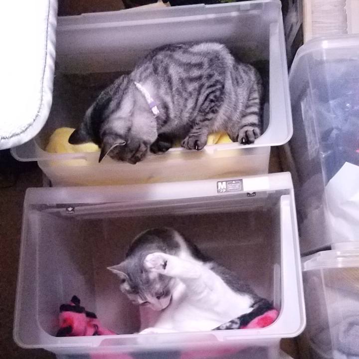 Ade422a1 d9c1 43bf a9f7 dcd09d315a66 1683808472625