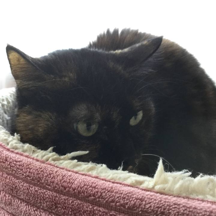 Ade43265 cc16 4851 90b3 0c1831a3ea27 1578298625853