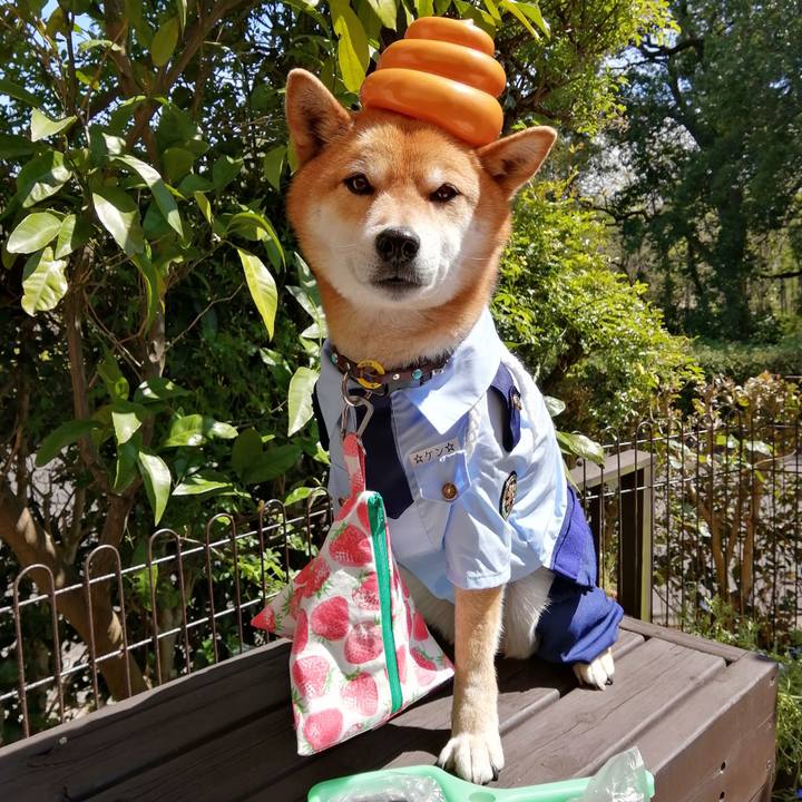 Ade437cc b1b2 4299 bf83 c079edceda73 1586492141074