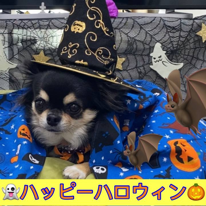 Ade4602d aa64 4a73 bb10 a0b965fa71e7 1604095112027