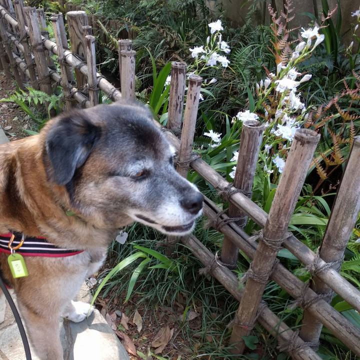 Ade47a36 5596 449e 8d4e 8dd520936a48 1523232436289