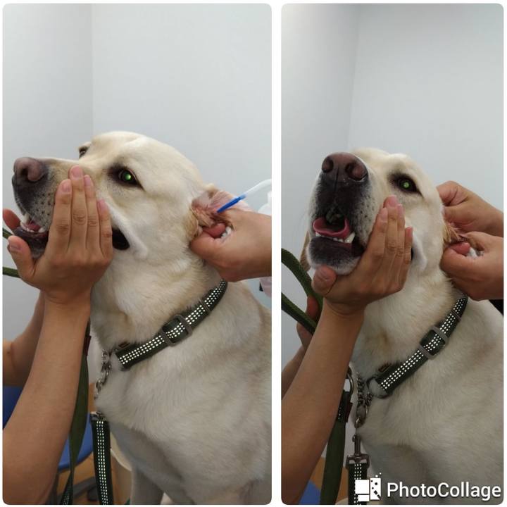 Ade4a79d 96c6 440b 8779 1ebd403911e7 1530951446122