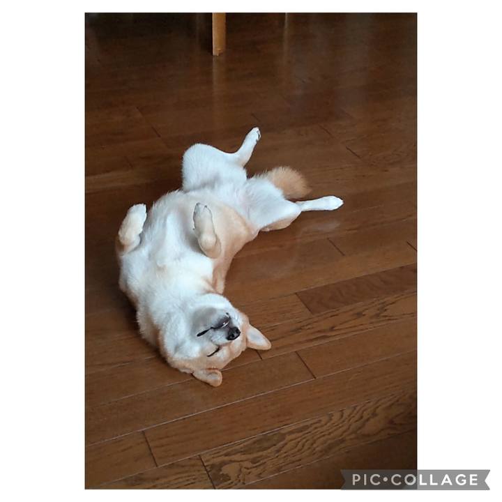 Ade4af3f e631 4eaa a0b1 3ffbb5b34a18 1695622317179