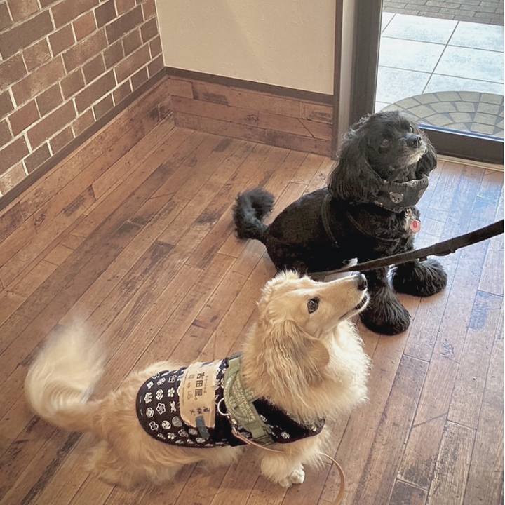 Ade4d0d5 72ff 4e29 8912 f569e4eb7edb 1695555073312