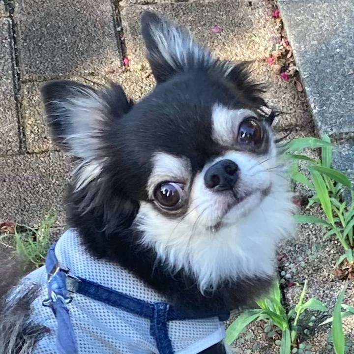 Ade4f8c3 5fc0 4c5b 9cbd cd7c070e7c90 1692241374319