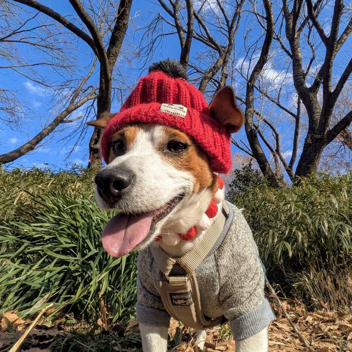 Ade50493 f85b 4345 bb1f 568b9a607d0a 1767325756504