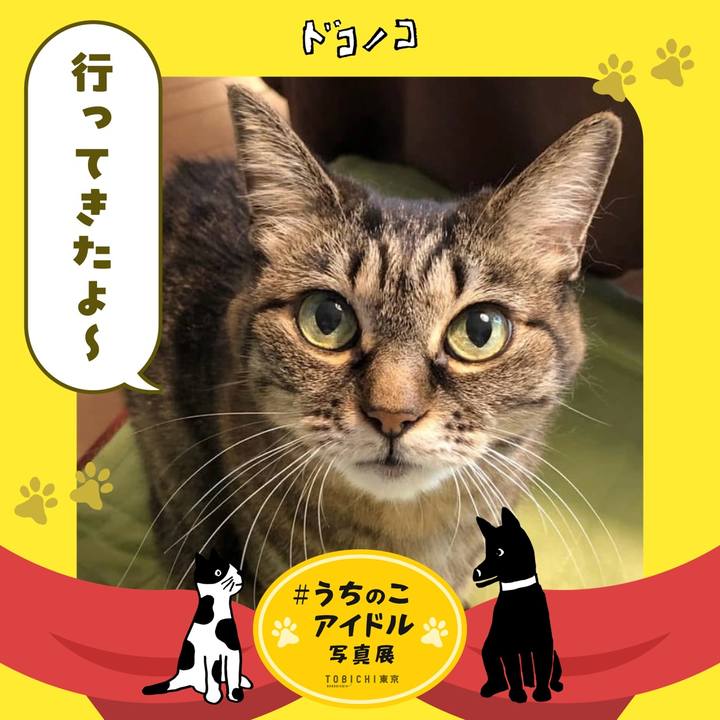 Ade5a887 1344 4047 85e2 f5bfacf07ad6 1761442788379