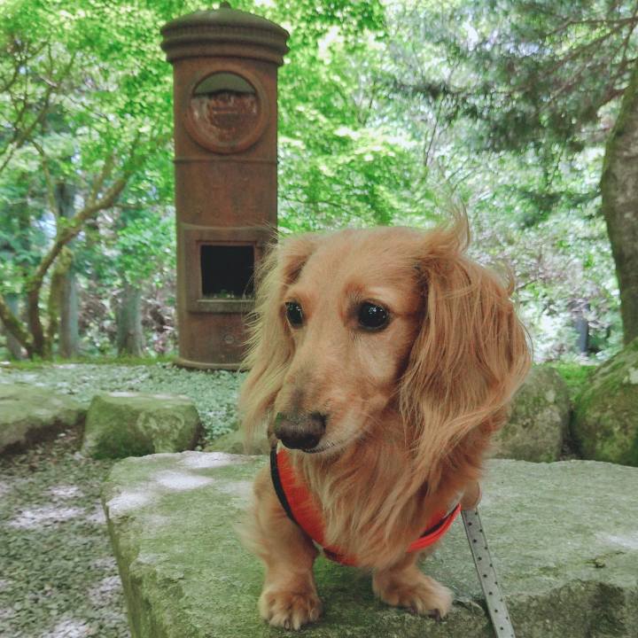 Ade5fccf 87f3 4cf9 85bc 20c627ee56e6 1655606351438