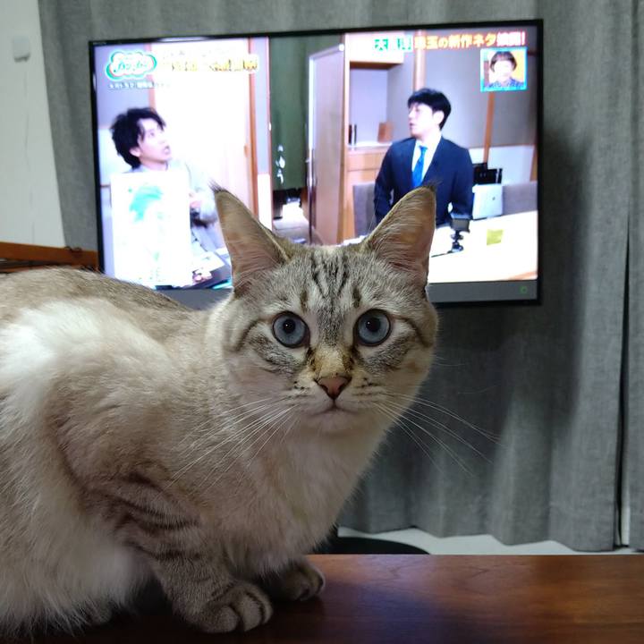 Ade60f66 7b97 4501 bd6f caddf8036930 1632481811863