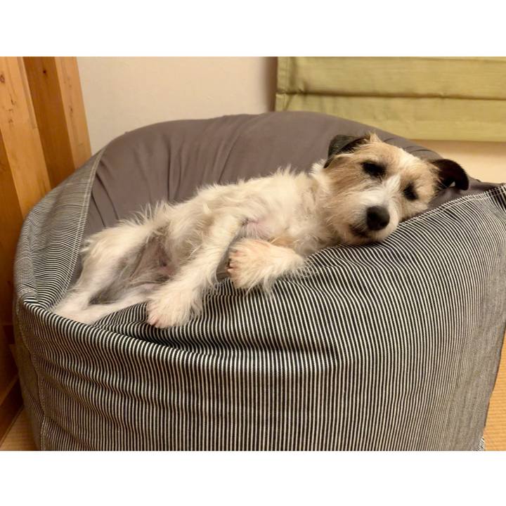 Ade62888 441f 4512 b995 f2e9bdde653b 1738098640220