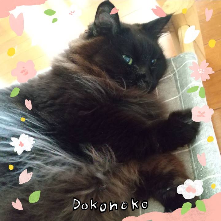 Ade63a0a 7b0c 49dd b151 c6e0a713c063 1711059458232