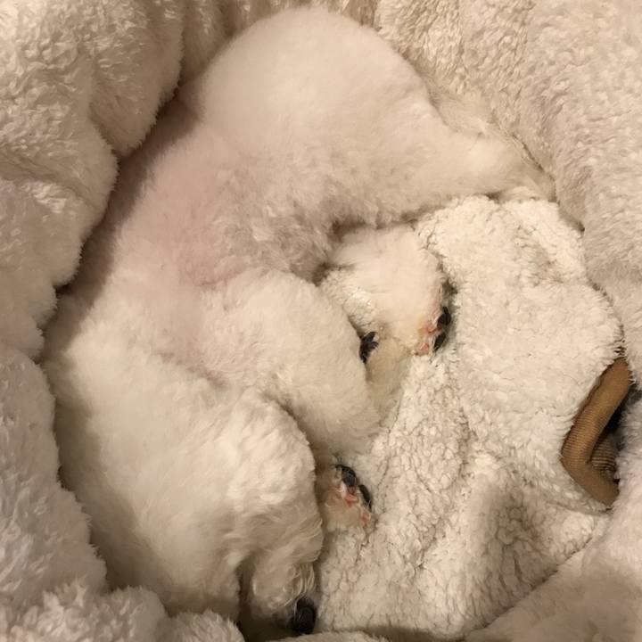 Ade64d77 41ce 475f 9361 b366548c1868 1549022957497