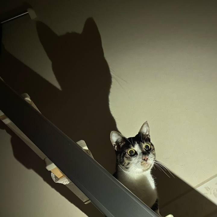 Ade65e73 4ee6 4898 acc6 8d72218b8712 1662478001142