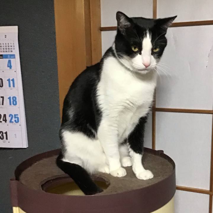 Ade6635f 1592 44a1 a47d e6c77be59a57 1736503009114