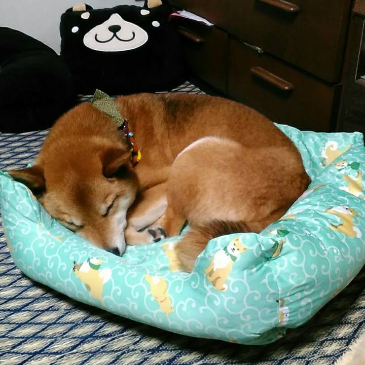 Ade68d7c cf56 4db8 96fc 3e0d1f3f4cbe 1527949628779