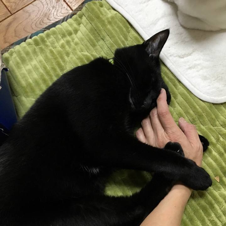 Ade7527f a161 46c2 b8ac 197ba37ce776 1544265213180