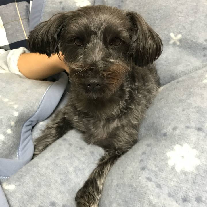 Ade75c21 5093 4db1 9f9b 411bce66e181 1768123022174