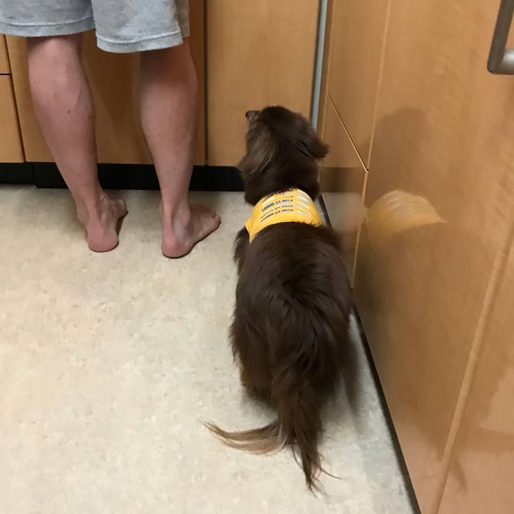 Ade7b78e 1f22 4067 a788 c18f4e5d1a0b 1529530596444