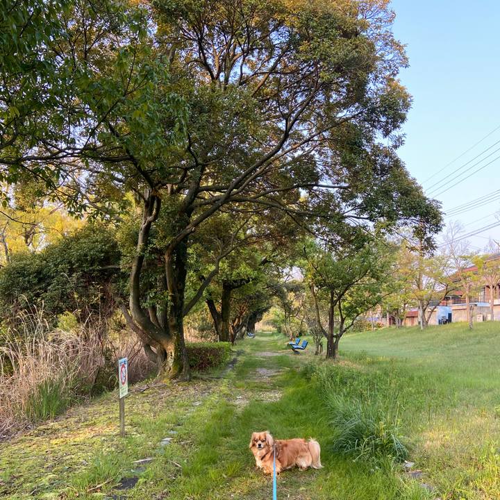 Ade7d8c7 4bf6 44c7 be1d 5e4365d17440 1587936519497