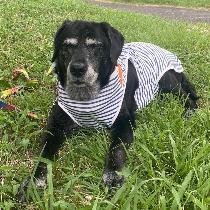 Ade7e934 b461 4f6d aaff 19f5f769e7c8 1720595219397