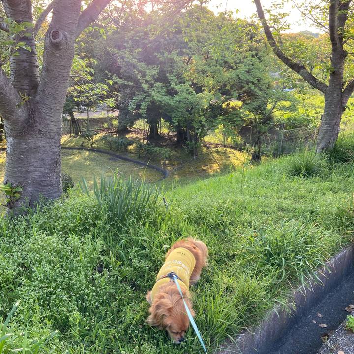 Ade80373 bf0e 49c5 952a baa3a24e00ab 1618869852583