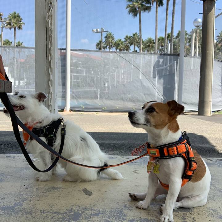 Ade82b37 c48b 4c4e a4e4 c24634376818 1566694931412