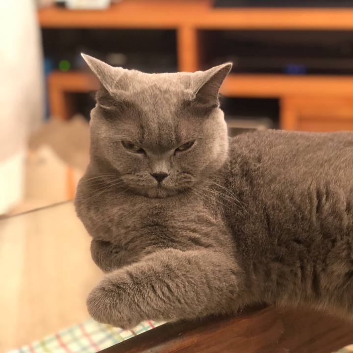 Ade83578 2b92 445a b80b a4e8e24bd663 1539431455818