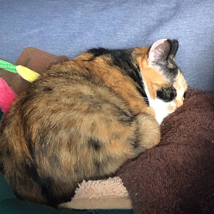 Ade87a72 8ec2 4fbc 80aa 2c171c96bf10 1543625274774