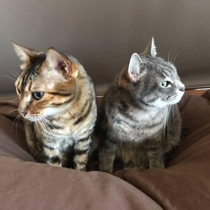 Ade88bbf 1ea5 4fa4 8a49 7561b3a7f955 1574756270558